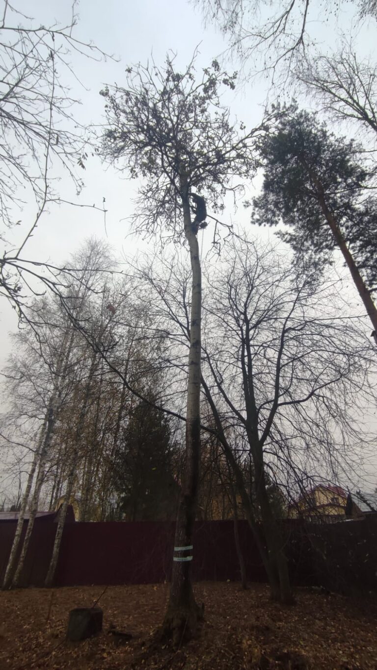 WhatsApp Image 2024-07-29 at 18.40.14 (2)